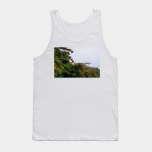 coniferous dew Tank Top